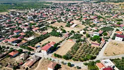 Elit Segment Sunumu, Gayrimenkul Artı Seçenekleri, Sosyal Etkileşim Merkezleri, Risk Kalkanı Protokolü, Tam Zamanlı Destek Hattı