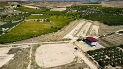 Emlak Satışı, Susurluk Ilıcaboğazı, Güvenli yatırım, Kaliteli Hizmet, Tarım