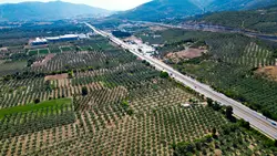 GüvenilirArsa, Gayrimenkul, OrganikTarım, MüşteriDeneyimi, OrhangaziİmarlıArsa
