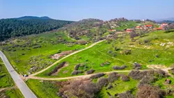 Arsa, BalıkesirDursunbey, OrganikTarım, ŞehirPlanlama, Danışmanlık