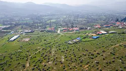 Yatırım rehberliği, Güvenilir arsa, Çanakkale Yenice, Doğalgaz Altyapısı, Müstakil Tapulu