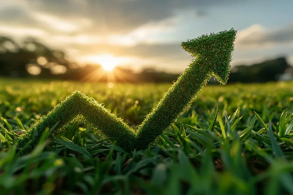 arsa yatırımının getirisi