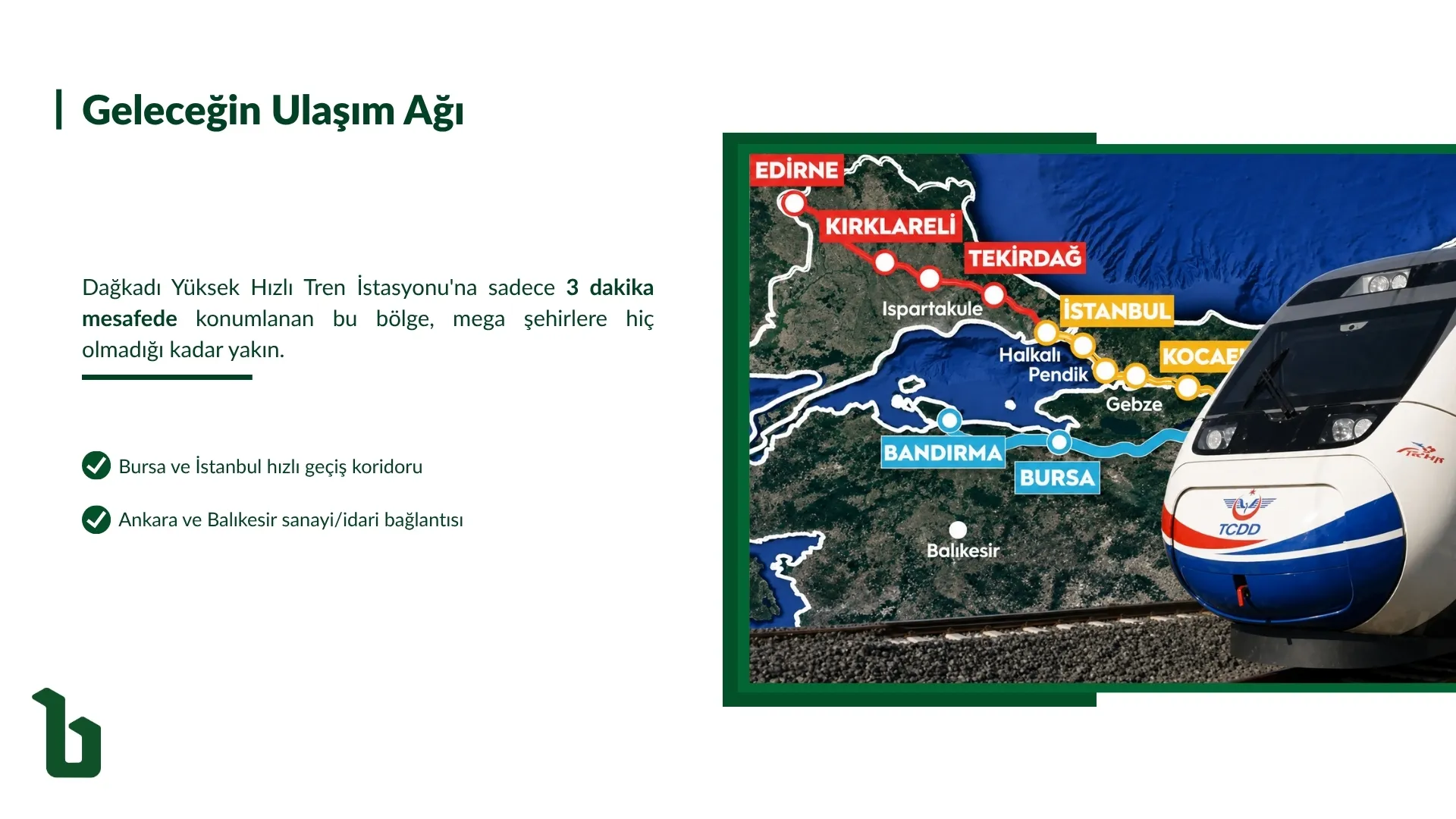 15.webp