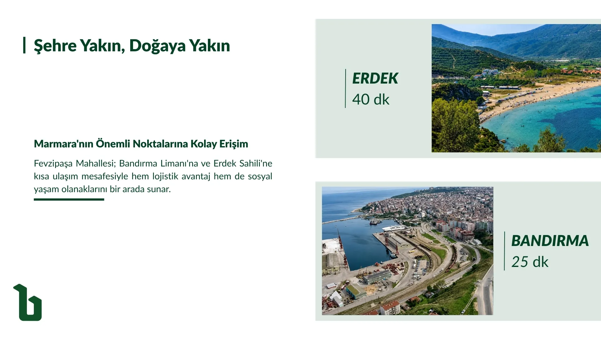 17.webp
