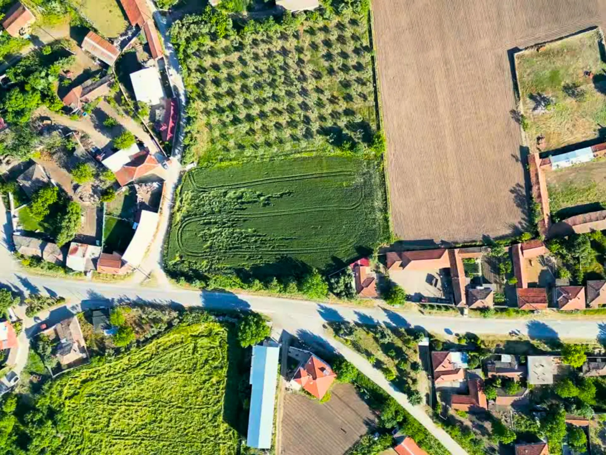 Kepsut Kepekler arsa gün batımı manzarası